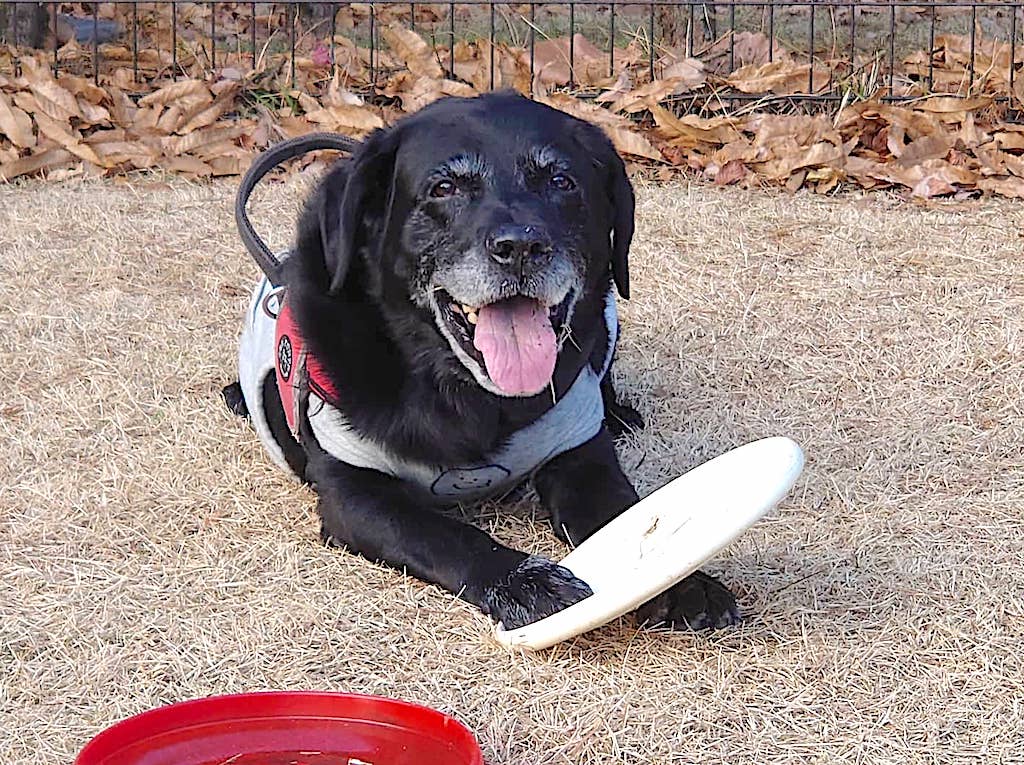 レジェンドレト